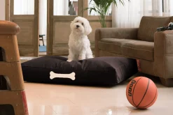 Doggielounge L Canvas Hondenkussen groot, zwart, 80x120x15 cm